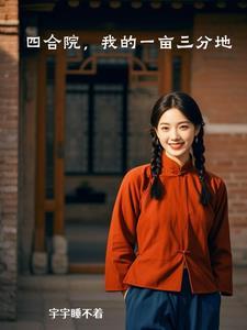 四合院:我的一亩三分地