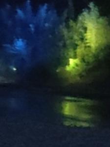 无敌剑尊:低调的王者