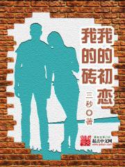 我的初恋,我的砖